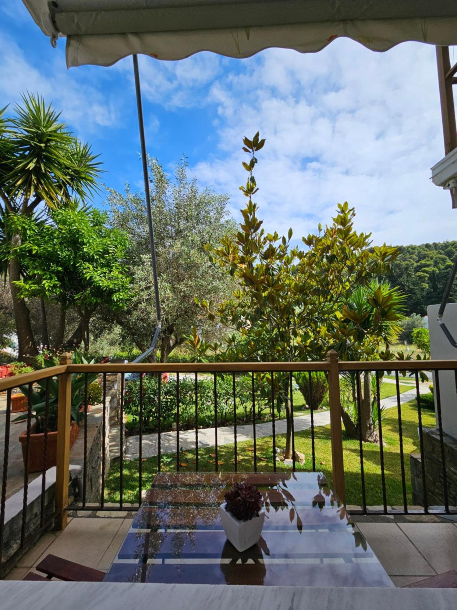 The Pine Trees Aparthotel Agnontas Ngoại thất bức ảnh
